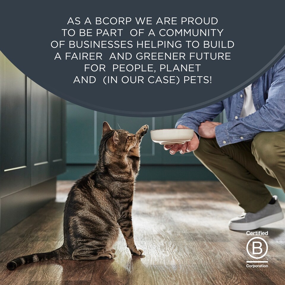 image 1 of ENCORE CAT FOOD CHICKEN SELN TINS 12X70G