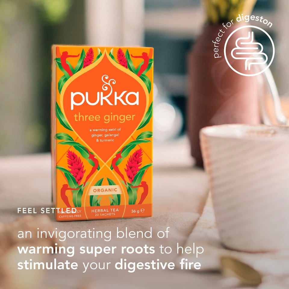 image 1 of Pukka Organic Three Ginger Tea 20 Herbal Tea Bags 36g