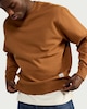 image 1 of RDA Pure Cotton Embroidered Sweatshirt in Camel