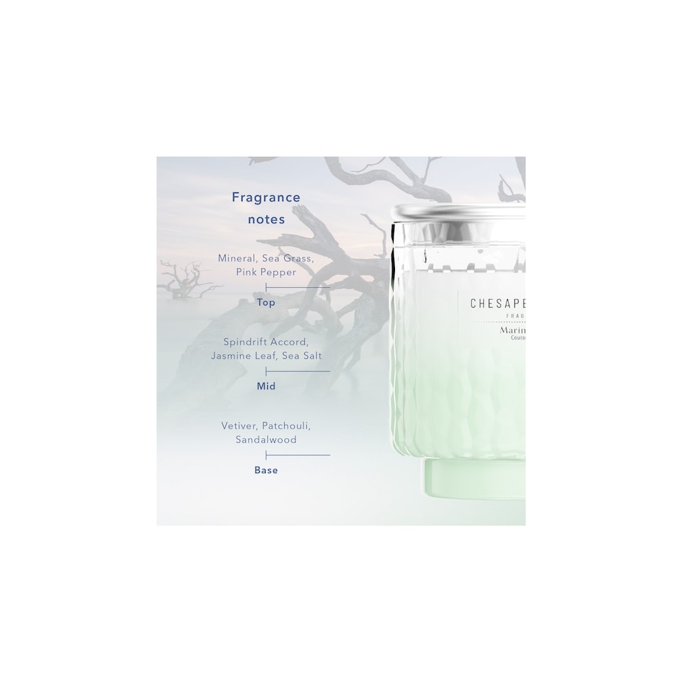 image 1 of Chesapeake Bay Marine Drift Small Candle 127g