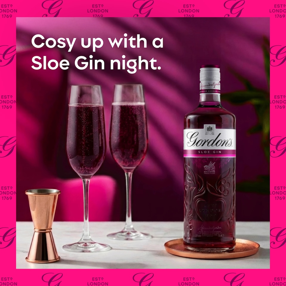 image 1 of Gordon's Sloe Gin Bottle 26% Vol 70Cl