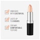 image 3 of Rimmel Lasting Finish Lipstick 900 4G