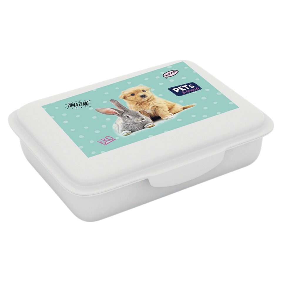 Nagy uzsonnás doboz lányoknak