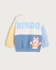 image 5 of Bluey and Bingo Cotton Rich Colour Block Sweatshirt in Multi