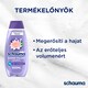 Schauma Power Volume sampon 400 ml  2. kép