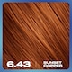 image 5 of CLAIROL NICE'N EASY BOLD PERMANENT HAIR DYE - 6.43 SUNSET COPPER