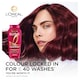 image 2 of L’Oreal Elvive Colour Protect Shampoo 700ml