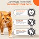 image 4 of IAMS 7+ Years Cat Food with Tuna 800g