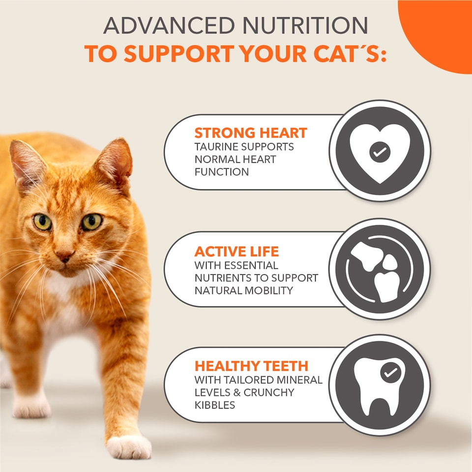 image 1 of IAMS 7+ Years Cat Food with Tuna 800g