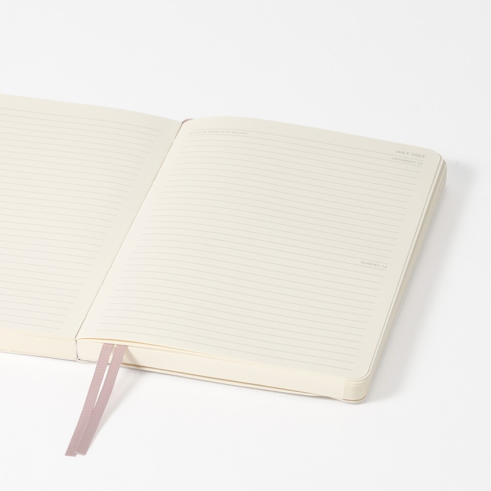 image 1 of Agenzio Soft Touch Medium 2025 Diary Champagne Gold