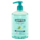 image 2 of Sanytol Dermaprotect Purifiant Antibacterial Liquid Soap Sage and Linden 250 ml