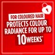 image 2 of L'Oreal Elvive Colour Protect Shampoo 250Ml