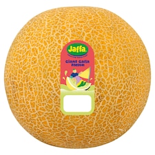Jaffa Giant Galia Melon Each