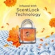 image 6 of Comfort Fresh Scent Booster Elixir Sunshiny Days 736ml