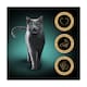 image 2 of Sheba Select Slices Wet Cat Food Pouches Fish in Gravy 12x85g