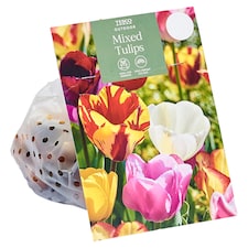 Tesco Outdoor Mixed Tulips