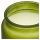 image 2 of F&F Home Apothecary Eucalyptus and Pine Needles Candle 350g