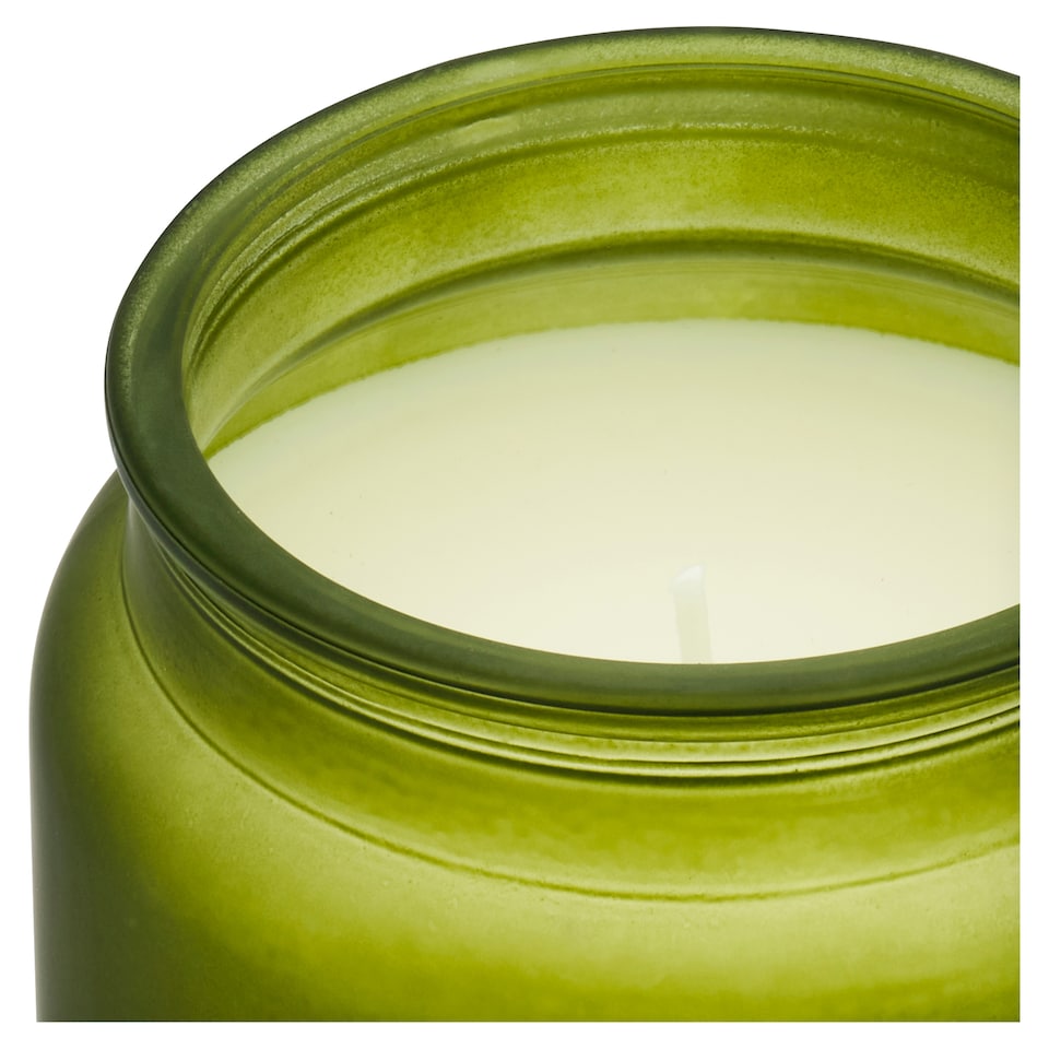 image 1 of F&F Home Apothecary Eucalyptus and Pine Needles Candle 350g