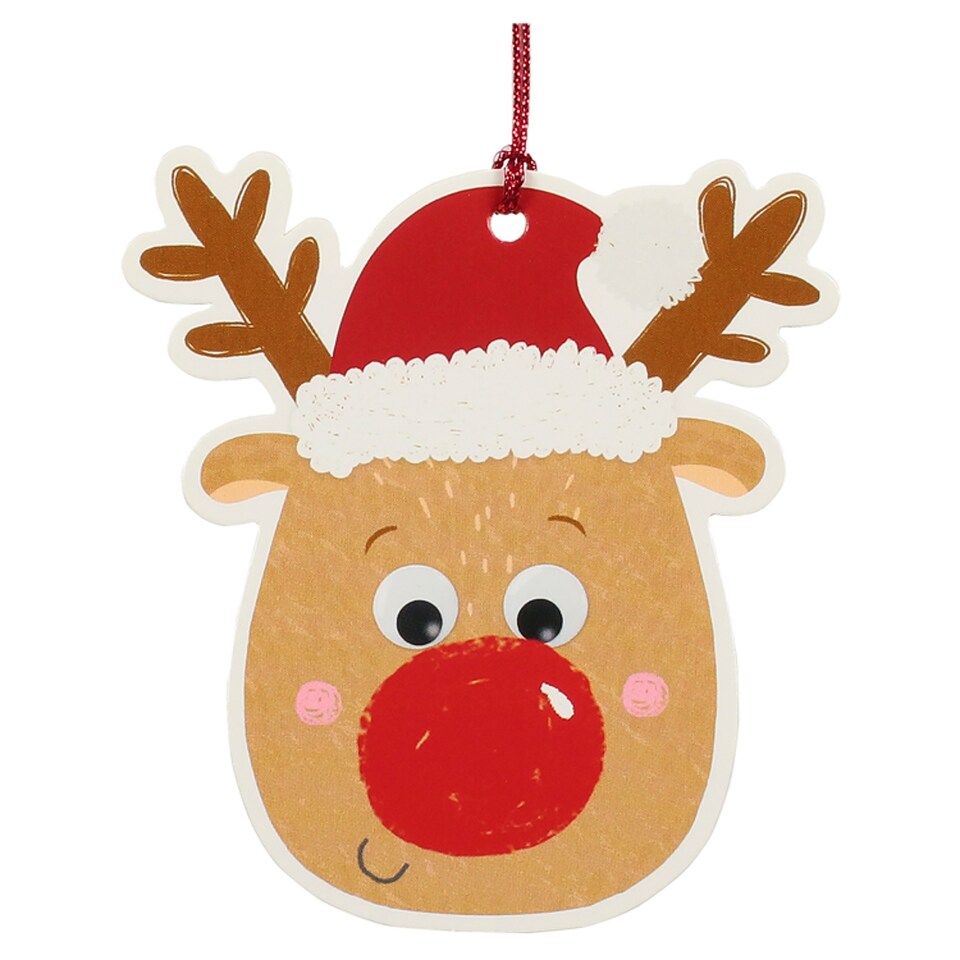 Tesco Rudi Reindeer Tag 5 Pack