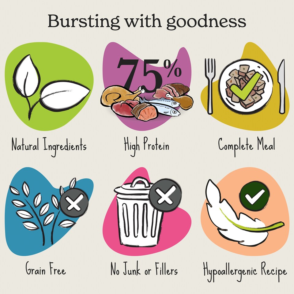 image 1 of Forthglade Adult Dog Salmon, Potato And Vegetable 395G