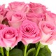 image 2 of Tesco Pink Roses Flowers Bouquet
