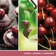 image 3 of Yankee Candle Signature Black Cherry Large Candle 567g
