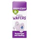 image 1 of Kiddylicious Blueberry Wafers 6Mth 4Pack 16G