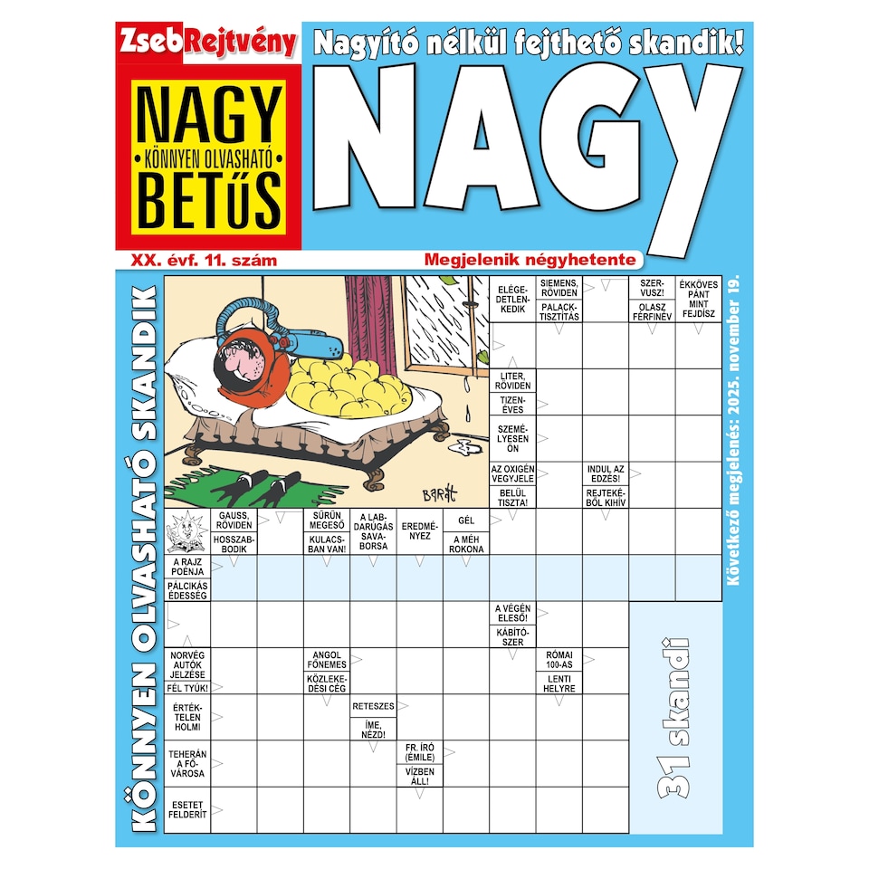 Zsebrejtvény Nagy