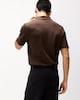 image 3 of F&F Textured Short Sleeved Polo Shirt in Brown