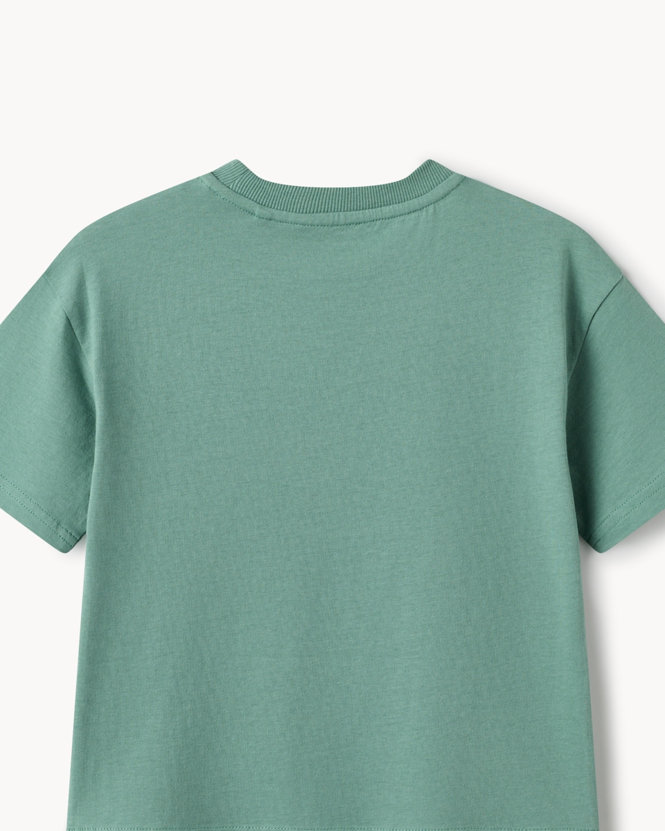 image 1 of F&F Boys Pure Cotton Dinosaur T-Shirt in Teal