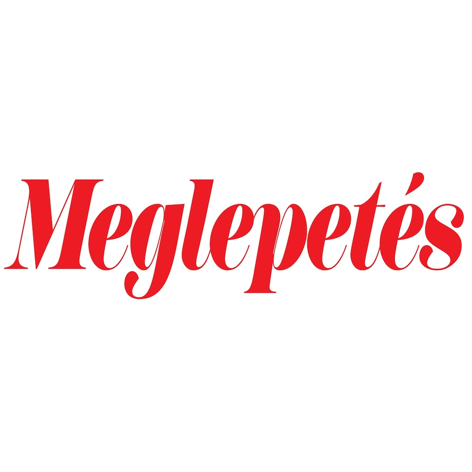 Meglepetés