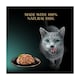 image 3 of SHEBA Filets Adult Cat Food Tray with Whitefish in Gravy 60g