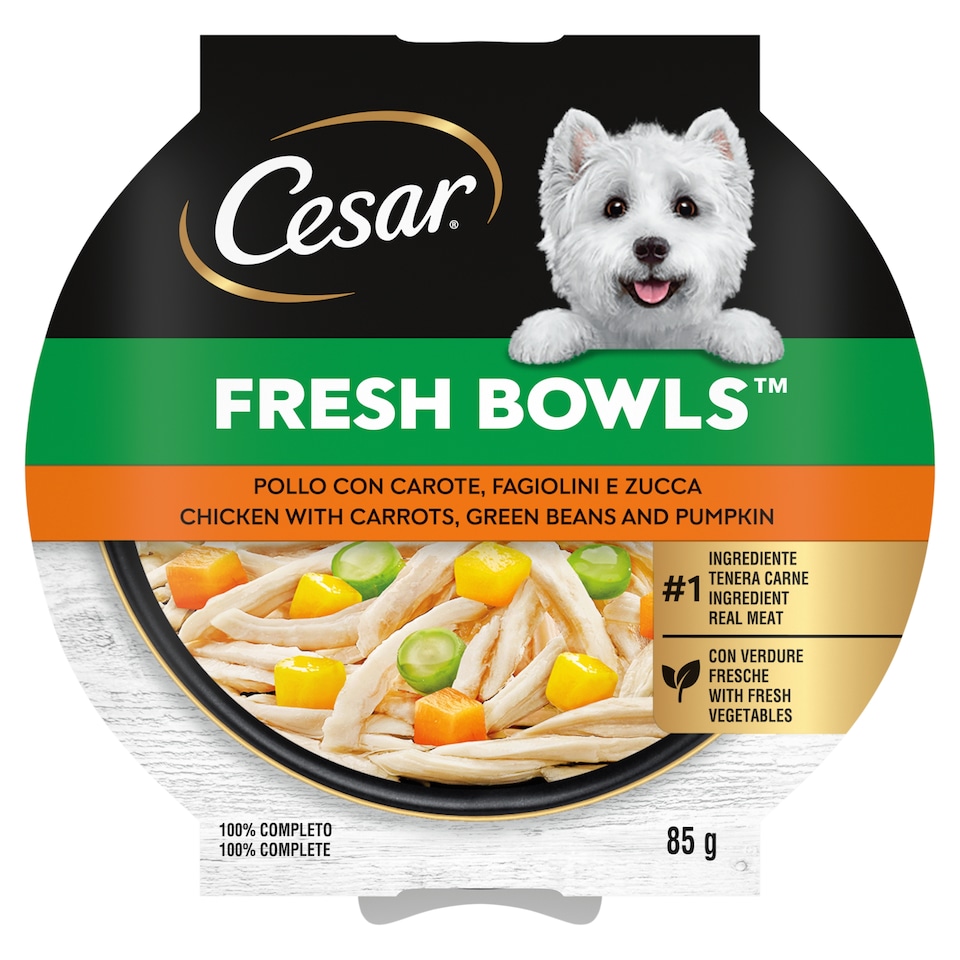 CESAR Fresh bowls Chicken with Carrots Green Beans and Pumpkin Dog Food 85g