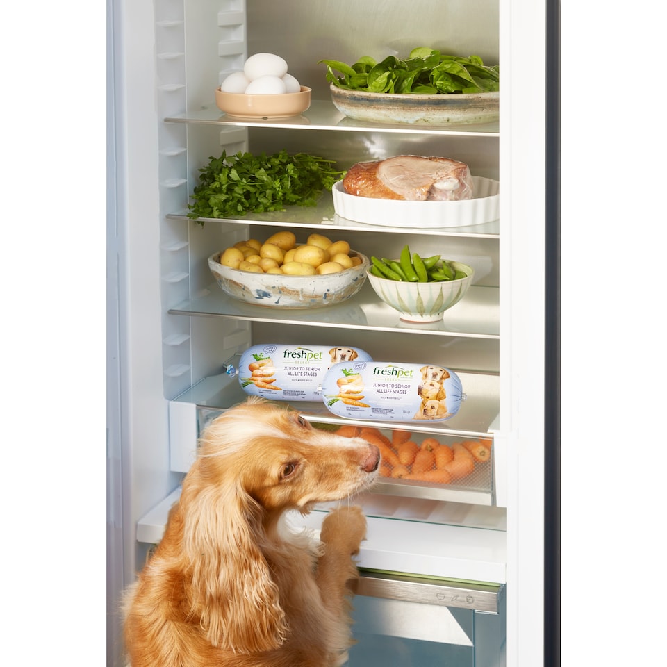 image 1 of Freshpet All Life Stages Turkey with Peas & Carrots Fresh Dog Food Roll 700g