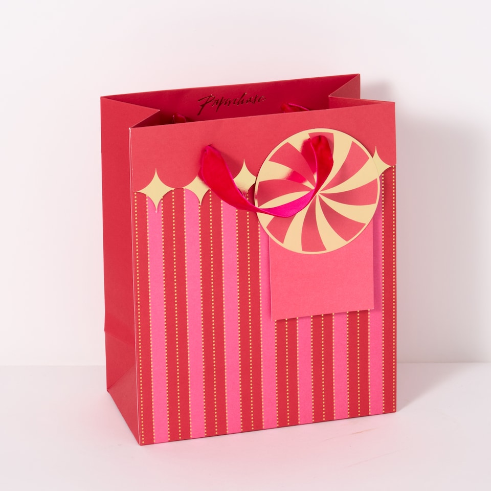 image 1 of Paperchase Christmas Embers Edge Medium Gift Bag 