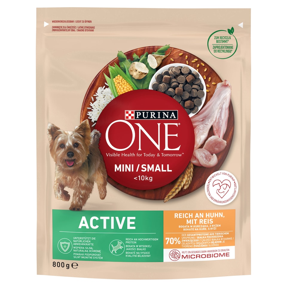 Purina ONE MINI/SMALL < 10 kg Active Bohaté na kura, s ryžou 800 g