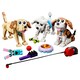 image 2 of LEGO Creator 3 v 1 31137 Adorable Dogs