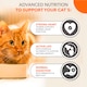 image 4 of IAMS Senior 11+ Dry Cat Food Chicken 800g