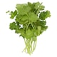 image 2 of Tesco Coriander 100G