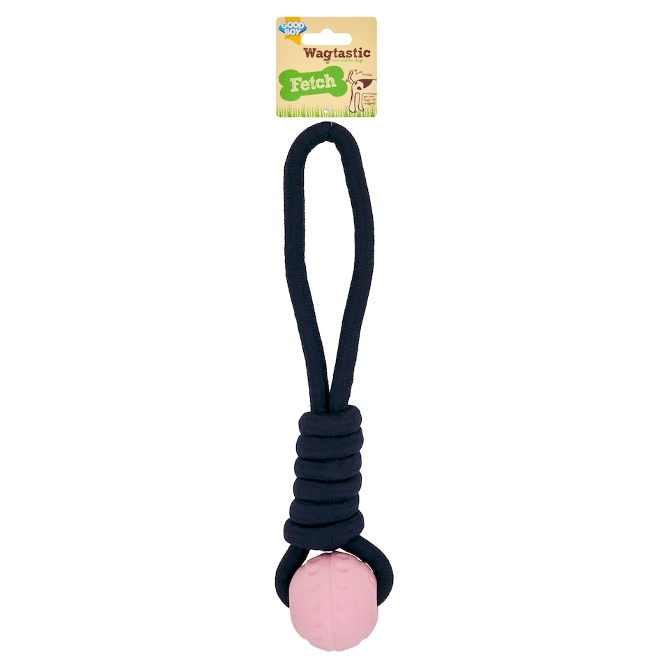 image 1 of Good Boy Wagtastic Fetch Ball on Rope Dog Toy