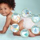 Obrázek 3 pro produkt Pampers Premium Care Velikost 3, 200 Plenek, 6kg-10kg