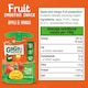 image 4 of Gogo Squeez Fruit Snack Apple Mango 4X90g
