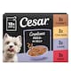 image 1 of CESAR Senior 8+ Dog Pouches Creations in Jelly 12x100g