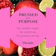 image 3 of Plenish Berry Gut Health Dosing Bottle 7x Shots 420ml