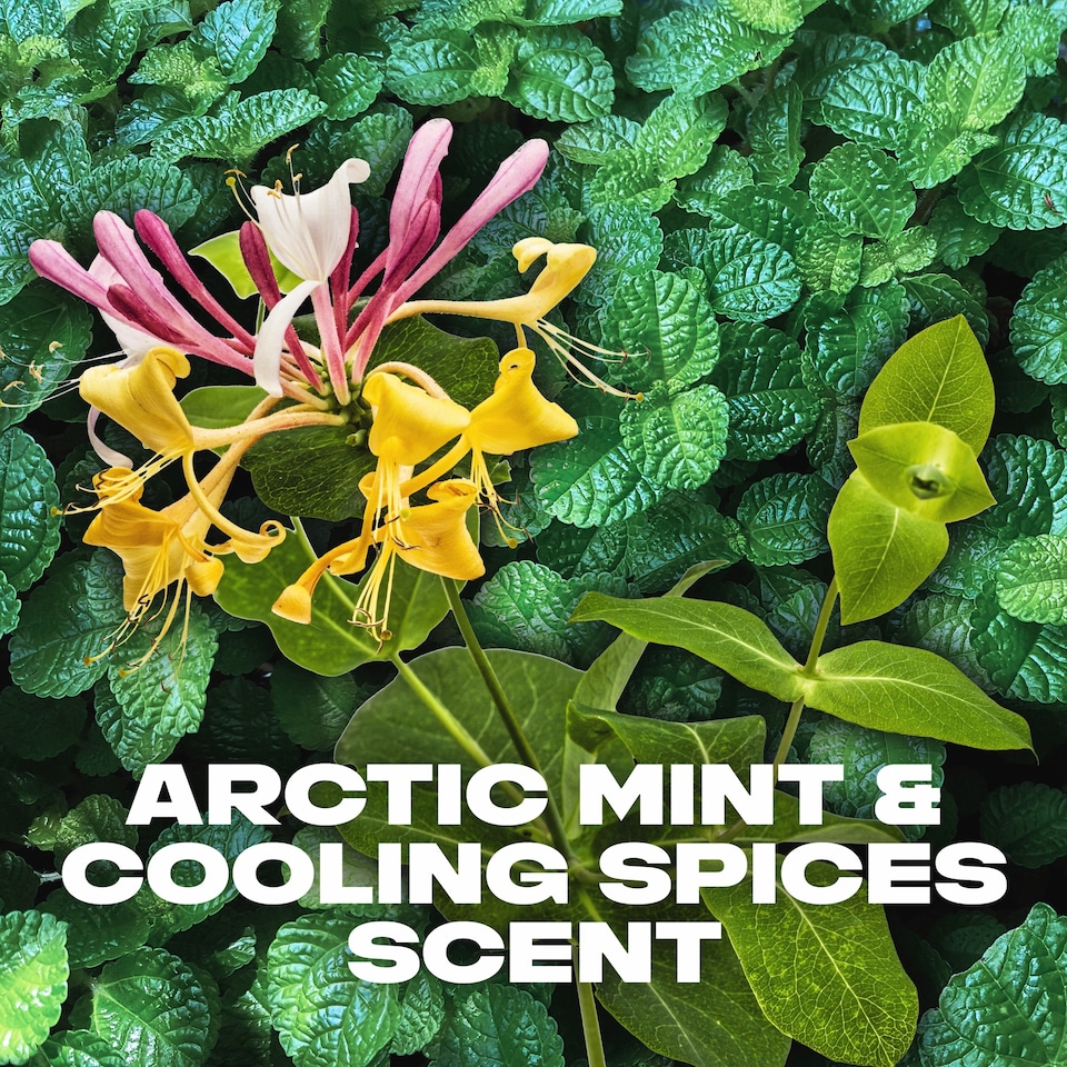 image 1 of Lynx Recharge Sport Fresh 48h Deodorant Bodyspray 150ml