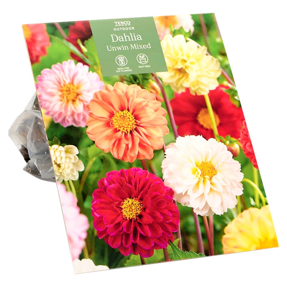 Tesco Dahlia Unwin Mixed
