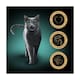 image 2 of Sheba Fine Flakes Cat Food Trays Chicken & Salmon Jelly 8x85g