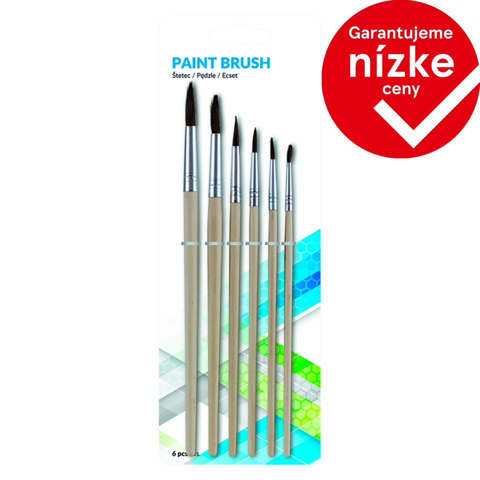 Paint Brush 6 pcs