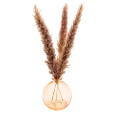Candlelight Pampas In Glass Vass