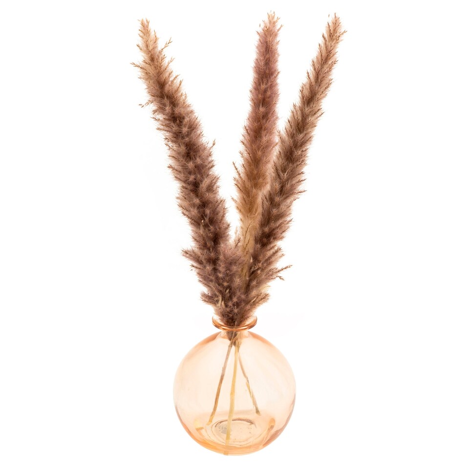 Candlelight Pampas In Glass Vass